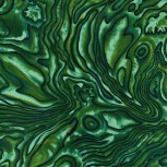Pacifica Paua